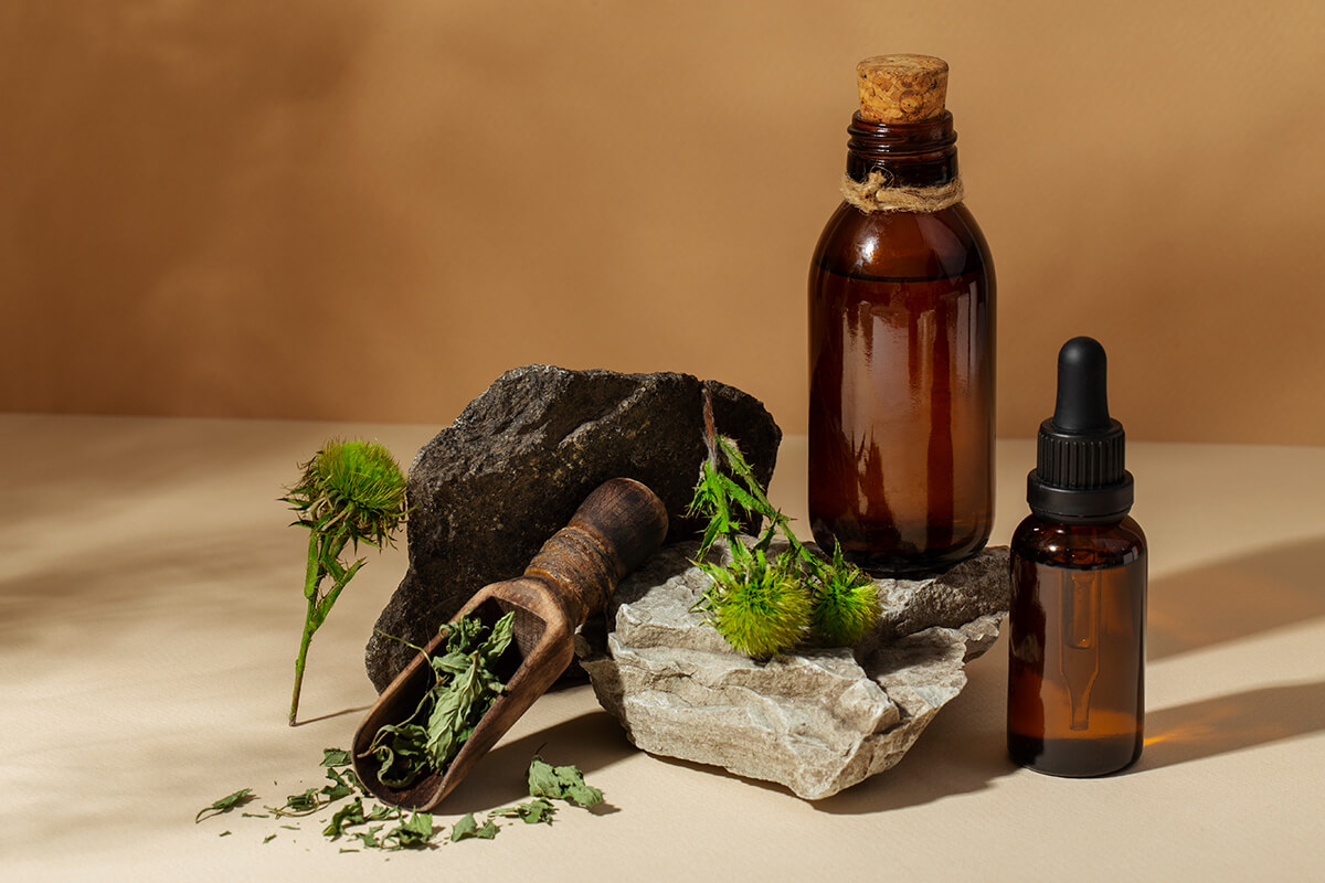 Fitoterapi Nedir?