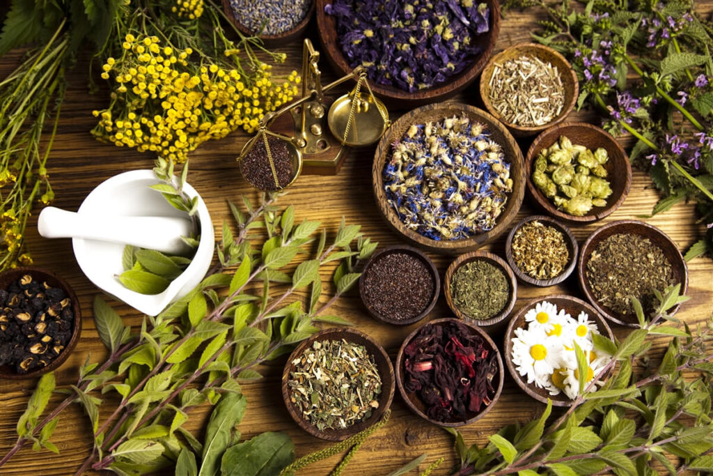 Fitoterapi Nedir?