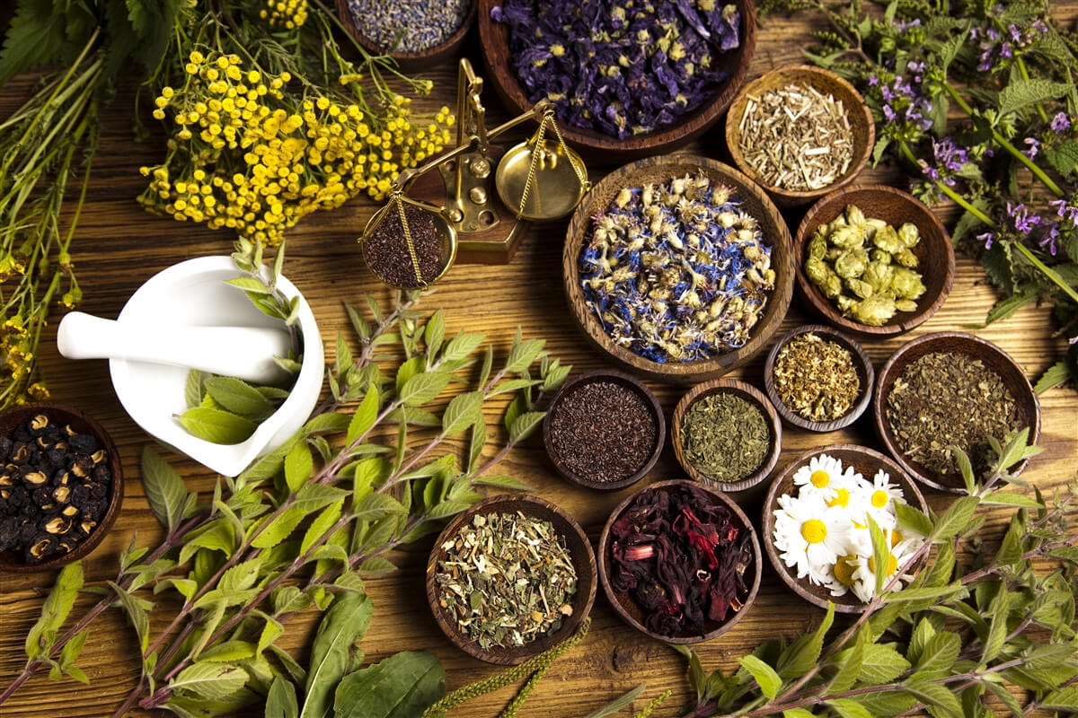 Fitoterapi Nedir?